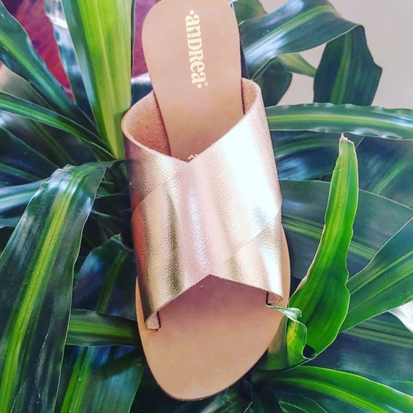 Shoes - Andrea Rose Gold Sandals